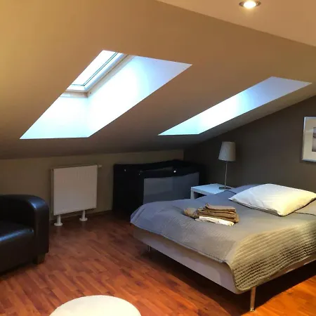 Poland Luxury Penthouse Sleeps 9 斯维诺乌伊希切