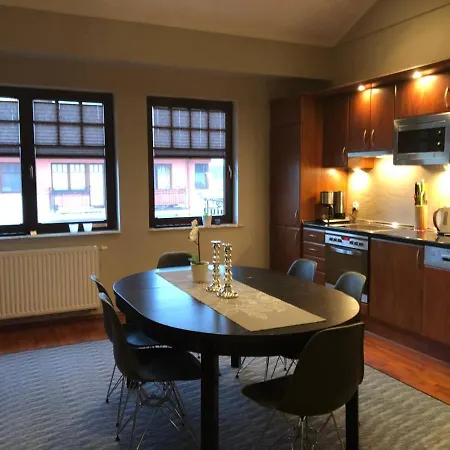 公寓 Poland Luxury Penthouse Sleeps 9 斯维诺乌伊希切